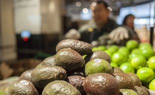 Des avocats.