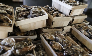 Des huitres (photo d'illustration)