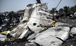 Les débris de l'avion de la Malaysian Airlines, le 26 juillet 2014, jonchent un champ à quelque 80 km de Donetsk