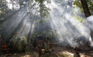 Des pygmées dans la forêt au Congo.