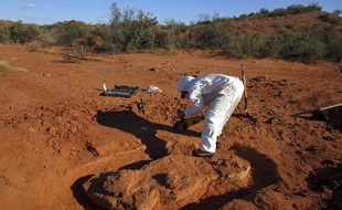 Des scientifiques sur le lieu de la découverte d'un dinosaure géant fossilisé.