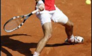Le Croate Ivan Ljubicic a mis fin au rêve du dernier Français en lice, Julien Benneteau, en le battant (6-2, 6-2, 6-3) mercredi en quarts de finale du tournoi de tennis de Roland-Garros.