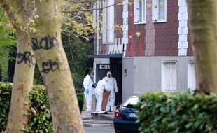 Le mystère des quatre meurtres sans lien apparent, commis avec une seule et même arme dans un périmètre de dix kilomètres, plane sur le département de l'Essonne, et les enquêteurs en recherchent toujours le ou les auteurs, une semaine après le dernier homicide, à Grigny