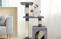 Les internautes s’arrachent ce superbe arbre à chat à moins de 17 euros