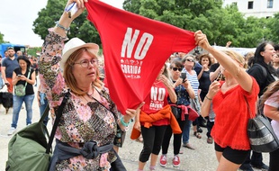 La manifestation anti-corrida de la Feria de la Pentecôte à Nîmes, le 19 mai 2018.