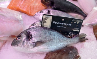 Image d'illustration d'un étal de poissonnerie.