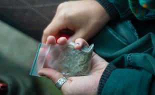Un sachet d'herbe de cannabis. Illustration.