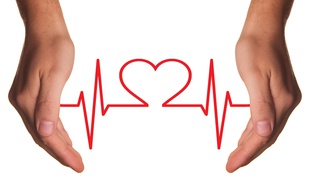 Illustration d'un électrocardiogramme.