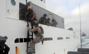 Photo fournie par le service de presse de la marine américaine des forces spéciales de la marine américaine en opération le 23 mai 2012 au large de San Diego