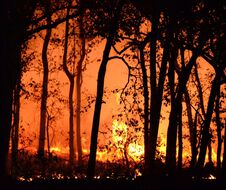 L'homme avait été repéré par des habitants alors qu'il venait de déclencher un incendie sur la commune de Sernhac. (PHOTO D'ILLUSTRATION)