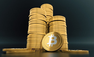 Le bitcoin (illustration)