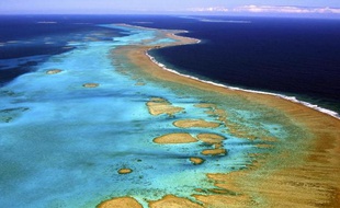 Photo prise le 13 juin 2006 de la barrière de corail de Nouvelle-Calédonie, l'une des plus vastes au monde