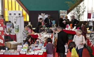 Le festival Rue des Livres avait attiré 6.000 curieux l'an dernier.