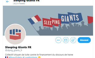 Les "sleeping giants" (géants endormis) forment un réseau de citoyens qui luttent contre la propagation de la haine sur nternet.