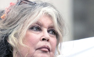 Brigitte Bardot, ex-légende du cinéma et militante de la cause animale, a dénoncé avec virulence la maltraitance des animaux à La Réunion. Et ça n'a pas plu du tout.