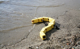 Robot Salamandre sur les rives du lac de Genève