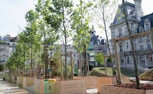 Dix euros les arbustes, cinq euros les plantes en conteneur. Ce samedi, la ville de Paris met en vente à prix cassé le surplus de sa production horticole.