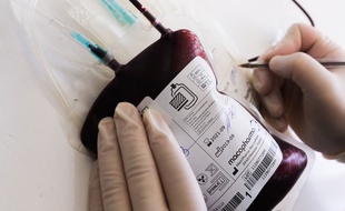 Une poche de sang dans un centre de transfusion russe (illustration).