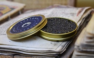 Le caviar de François René, fabriqué dans l'Hérault.