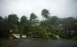 Le Guadeloupe touchée par l'ouragan Maria, le 19 septembre 2017.