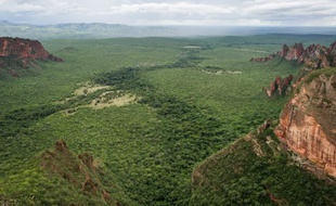 La déforestation illégale, qui prospère et représente jusqu'à 90% du commerce de bois dans les pays tropicaux, risque de réduire à néant les efforts déployés pour sauver la forêt, outil crucial de régulation du climat, avertissent jeudi l'ONU et Interpol dans un rapport.