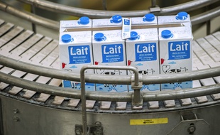 Des briques de lait le 28 mai 2015