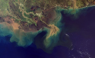 Ici la côte du golfe du Mississippi, une zone océanique morte à cause de la dénutrification, causée par le fleuve.