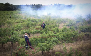 (Illustration) L'origine de l'incendie qui a parcouru près de 500 hectares à Générac dans le Gard est a priori «criminelle».