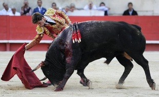 Un sondage Ifop paru jeudi indique que 48% des Français sont favorables à l'interdiction de la corrida, à la veille d'une décision du Conseil constitutionnel sur le sujet.