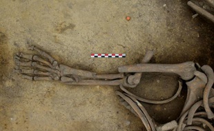 Photo fournie par l'INRAP le 7 juin 2016 d'ossements découverts à Achenheim