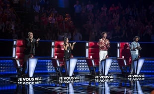 Les coachs de la saison 8 de «The Voice» sur TF1.