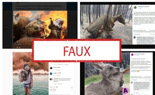 Ces images ne sont pas liées aux incendies en Australie.