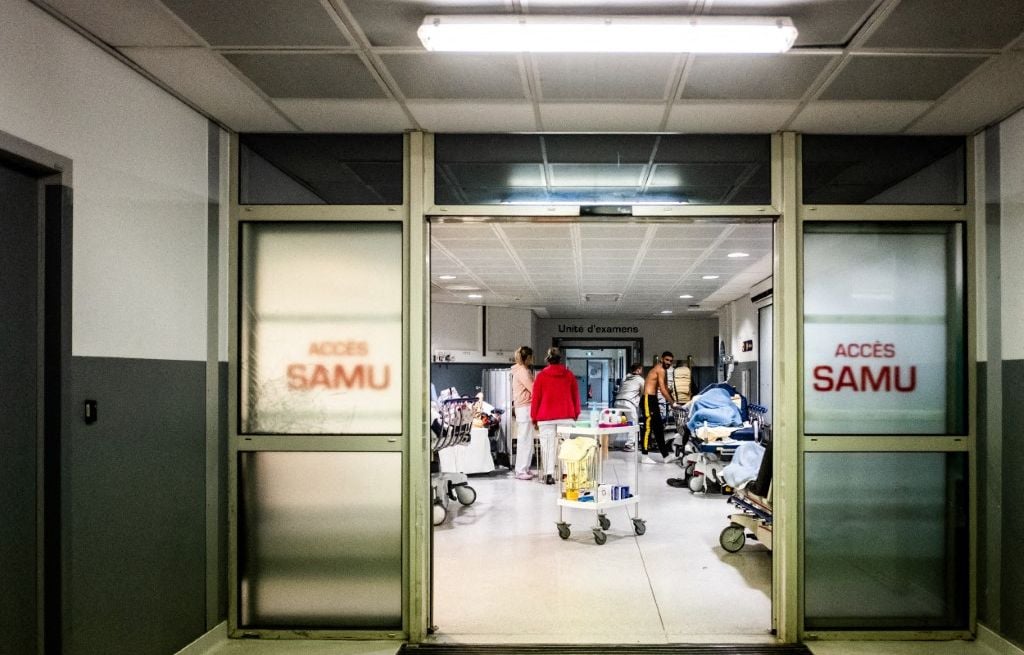 Perpignan : Un cas mortel rarissime de rage... Quels sont les symptômes de la maladie ?