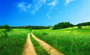 Illustration d'un chemin dans la campagne.