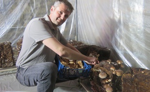 La champignonnière de Christophe est installée dans la cave d'un ancien bar place des Lices à Rennes.