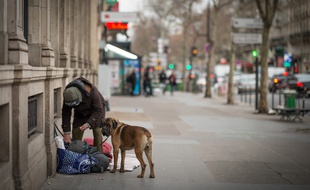 Un SDF avec son chien, à Paris, le 15 janvier 2019.