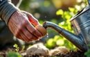 Arrosoir percé ? L’astuce récup’ des jardiniers malins pour le réparer sans rien dépenser cet été !