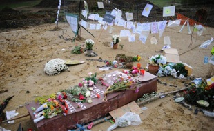 Photo prise le 6 novembre 2014, à Lisle-sur-Tarn (sud-oues) d'un faux cercueil fabriqué en hommage à Rémi Fraisse