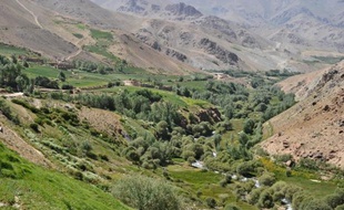 Au moins 9 passagers d'un bus ont été tués et 22 autres blessés lorsque le véhicule dans lequel ils voyageaient a sauté sur une bombe artisanale dans la province très instable du Wardak, au sud-ouest de Kaboul, ont indiqué lundi des responsables afghans.