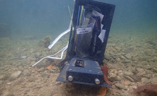La brigade nautique d'Antibes a récupéré trois coffres-forts dans la Siagne.