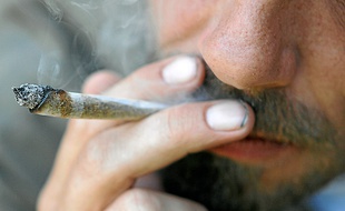 La consommation de cannabis est de 0,9 g par jour pour mille habitants.