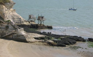 La plage de Meschers-sur-Gironde distinguée par le Pavillon Bleu