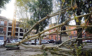 Environ 50.000 foyers du Sud-Ouest se sont réveillés sans électricité vendredi à cause d'un épisode rare et prolongé de vents soufflant à plus de 100 km/h qui ont provoqué des chutes d'arbres et de branches sur les lignes, a indiqué un porte-parole d'ERDF.