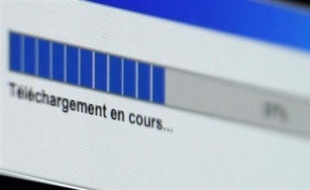 Trente-sept pour cent des internautes français reconnaissent avoir déjà téléchargé illégalement ou utilisé des contenus piratés, selon un sondage réalisé par TNS Sofres/Logica pour Metro, à paraître lundi.