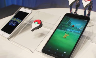 Illustration. Pokemon Go.