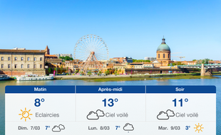 Météo Toulouse: Prévisions du samedi 6 mars 2021
