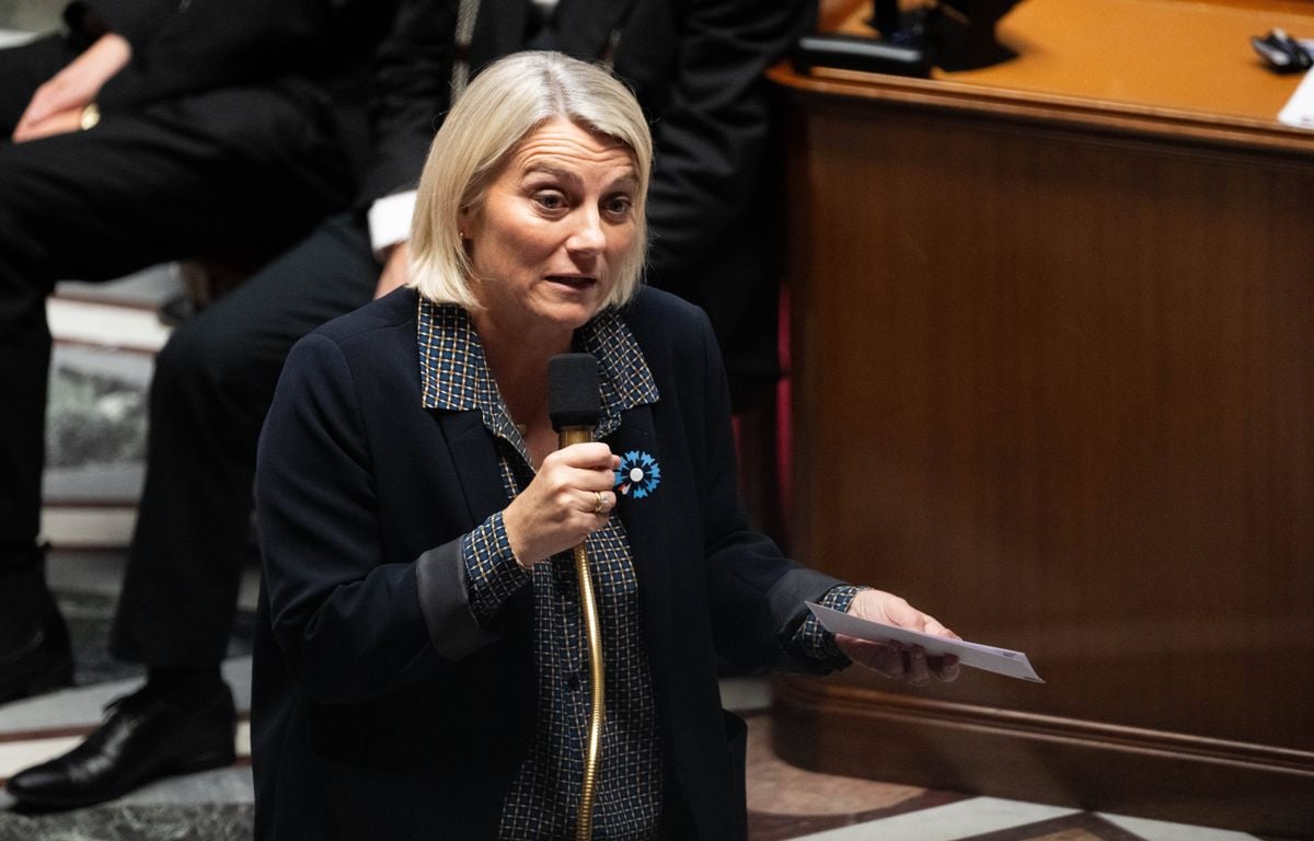 EN DIRECT Budget 2026 : Les députés poursuivent l'examen du budget de la Sécurité sociale...