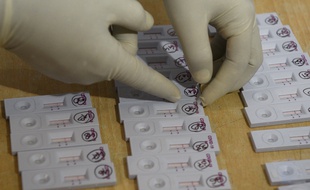 Des tests rapides pour détecter le coronavirus (illustration).