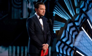 Vous ne l'aviez peut-être pas remarqué, mais Leonardo DiCaprio a des sourcils de compétition
