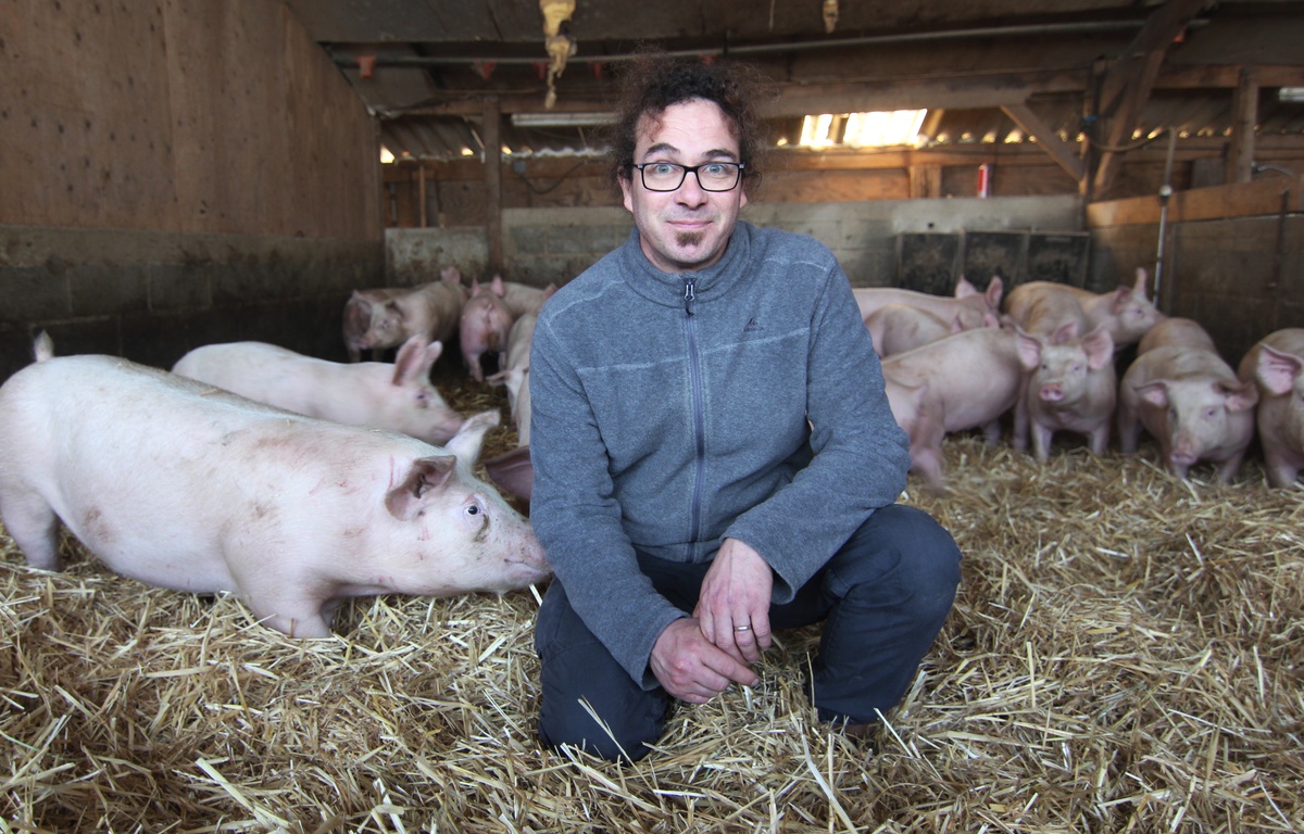 Circuit Court A La Ferme Mots Fleches Agriculture: « La ferme allait mourir »... L'histoire d'un éducateur  spécialisé devenu éleveur de porcs